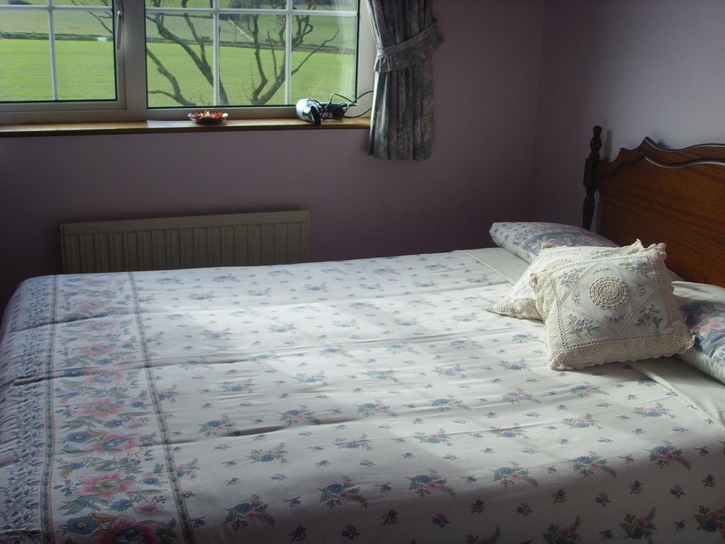 Springfield House B&B Clonakilty Rum bild