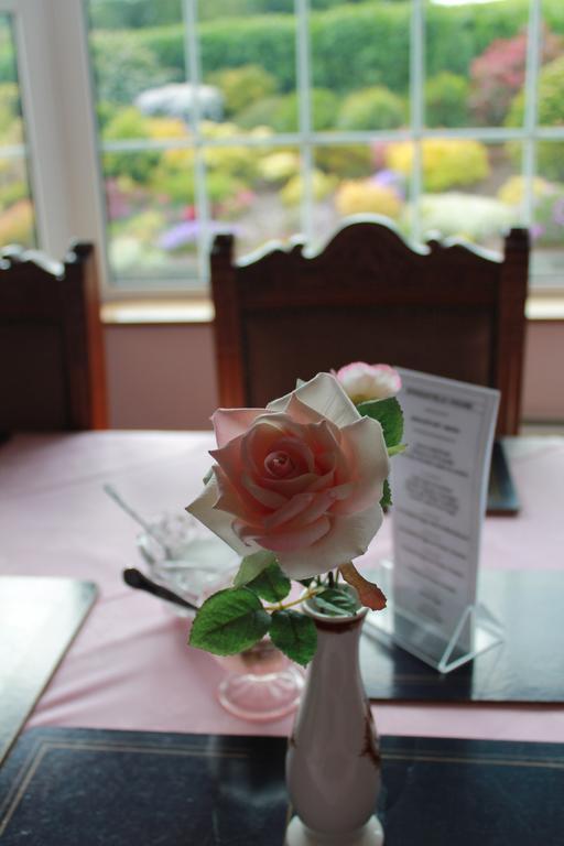 Springfield House B&B Clonakilty Exteriör bild